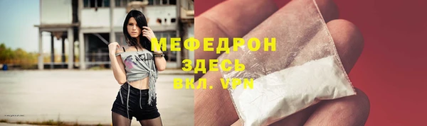spice Инта
