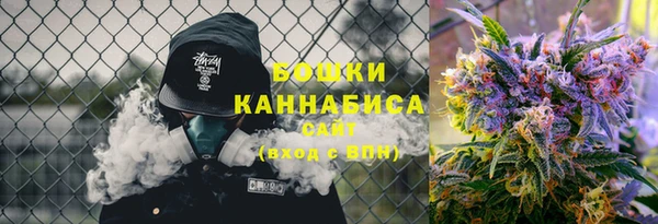 хмурый Заводоуковск